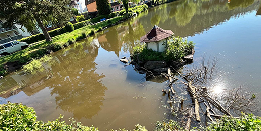 Nestbau Stadtsee 2026